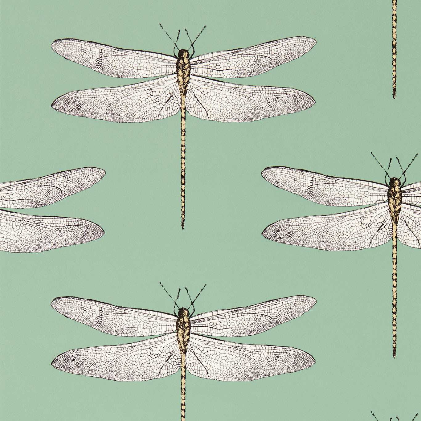 Demoiselle 113145